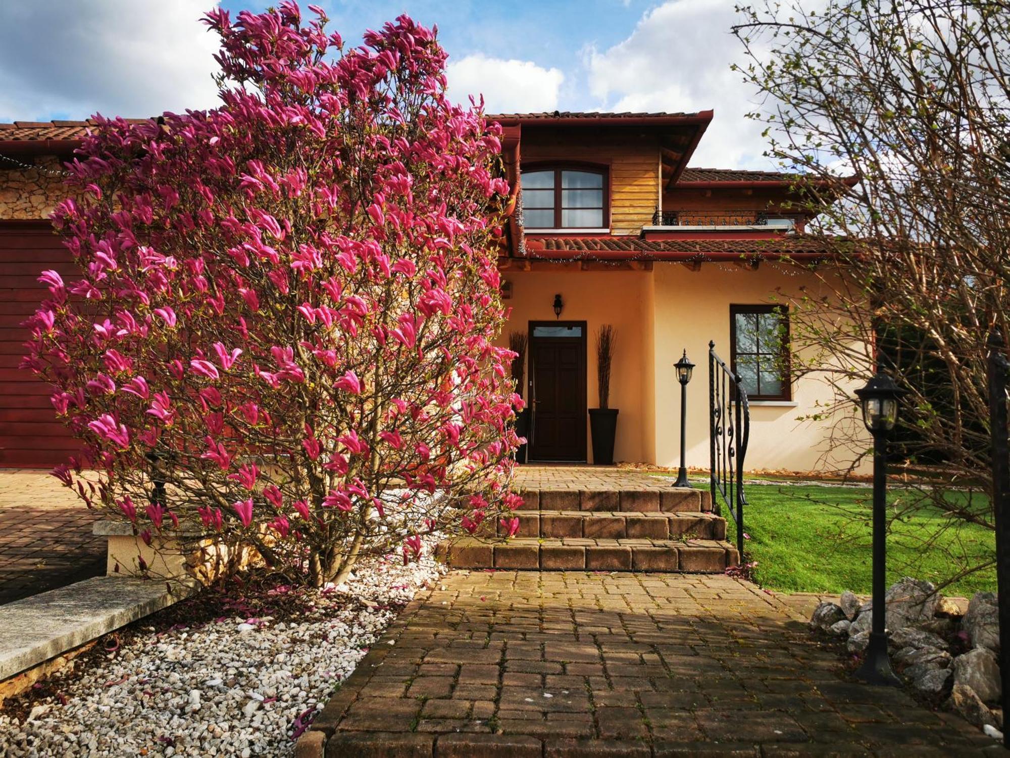 Luxury Basement In The Surrounding Of Budapest Apartment Mogyorod Ngoại thất bức ảnh